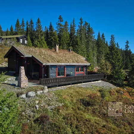 Large At With Sauna, Fireplace, View And Cross-country Skiing 펜션 Sjusjøen