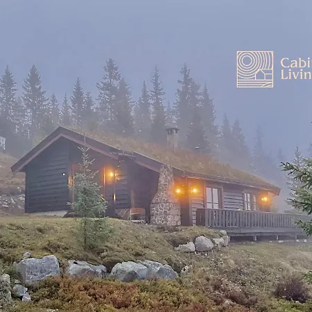 Holiday home With Sauna And Lovely View On The Natrudstilen *