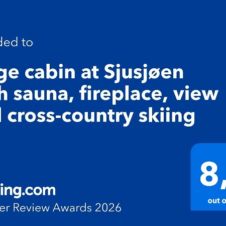 Large At With Sauna, Fireplace, View And Cross-country Skiing Sjusjøen