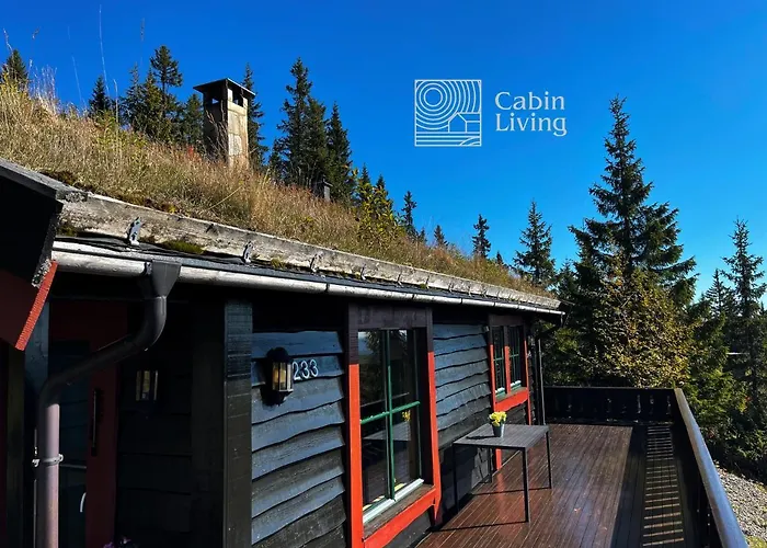 Large At With Sauna, Fireplace, View And Cross-country Skiing