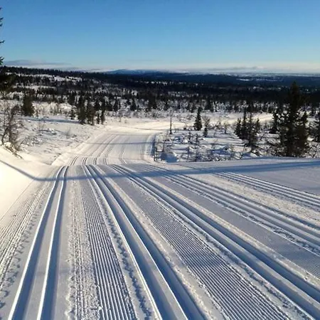 Large At With Sauna, Fireplace, View And Cross-country Skiing Σπίτι διακοπών *