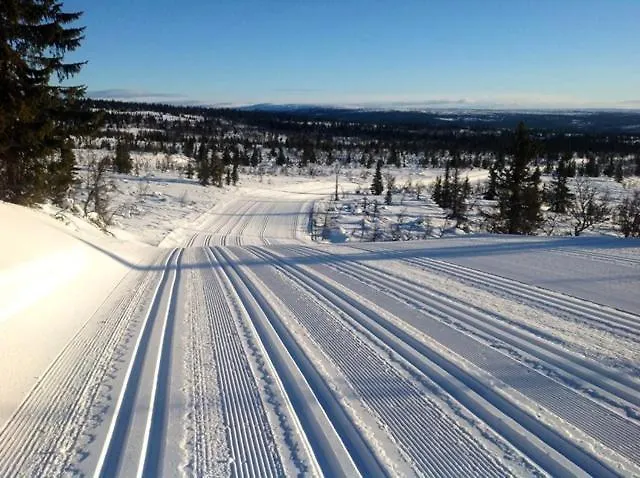 Large At With Sauna, Fireplace, View And Cross-country Skiing Holiday home *